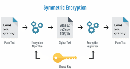 Why Is Database Encryption Important?